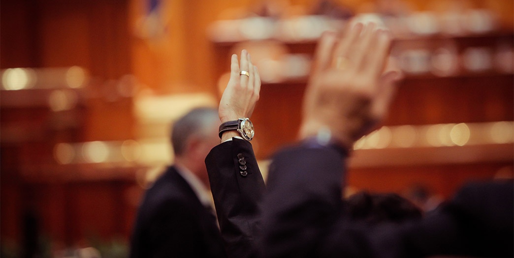 Political issues or factors influencing availability and price of raw materials